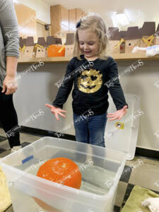 Trinity Pumpkins (3 of 18)