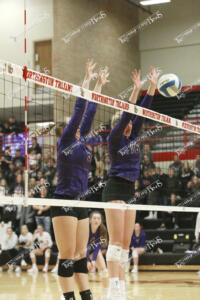 Volleyball.clarke.hoekman2