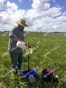 bees.IanLane BeeBowls