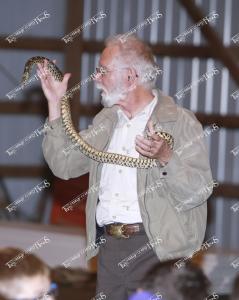 environmental.reptiles1