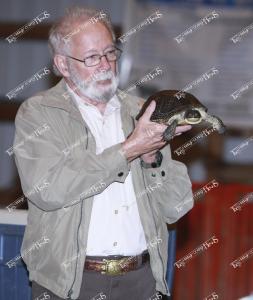 environmental.reptiles2