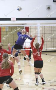 mcc.shelby.christensen2