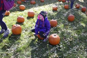 pumpkinfest.10
