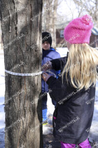 tapping.measuring circumfirence